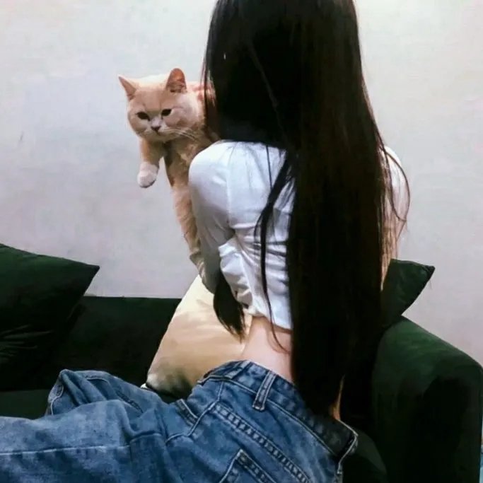 这个少侠有点冷